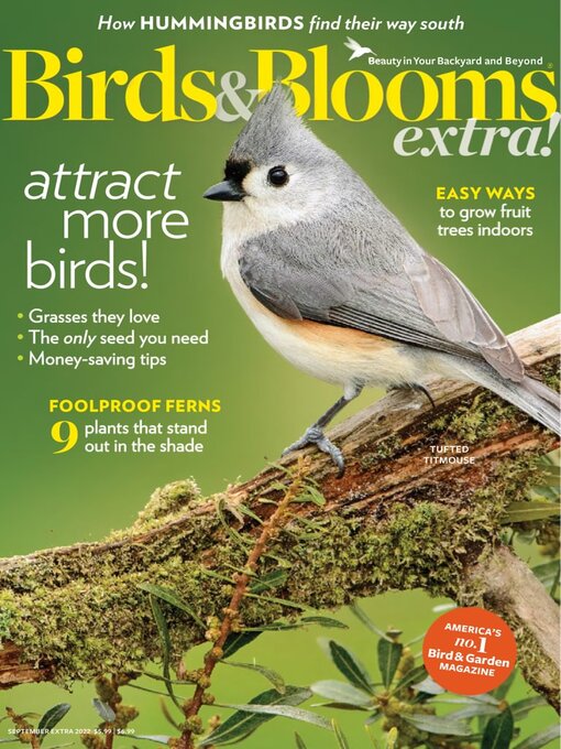 Title details for Birds and Blooms Extra by Trusted Media Brands Inc. - Available